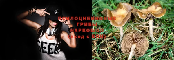 стафф Россошь